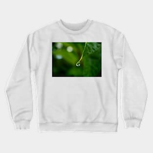 Life Crewneck Sweatshirt